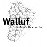 Gemeindevorstand Walluf